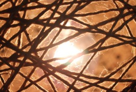 Направете сами: Интересен лустер со коноп и топка за на плажа