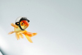 Одлично смислени маркетинг кампањи кои ќе ви го привлечат вниманието