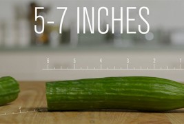 Сексот во реалноста наспроти сексот во порно филмовите