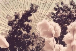 Шеќерна волна