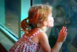 Слатката дружба на мало девојче и горила