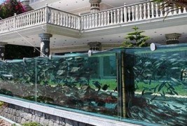 Ваква жива ограда досега не сте виделе