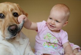 Видео компилација: бебиња кои сакаат кучиња