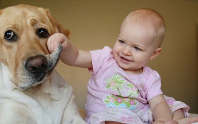 Видео компилација: бебиња кои сакаат кучиња