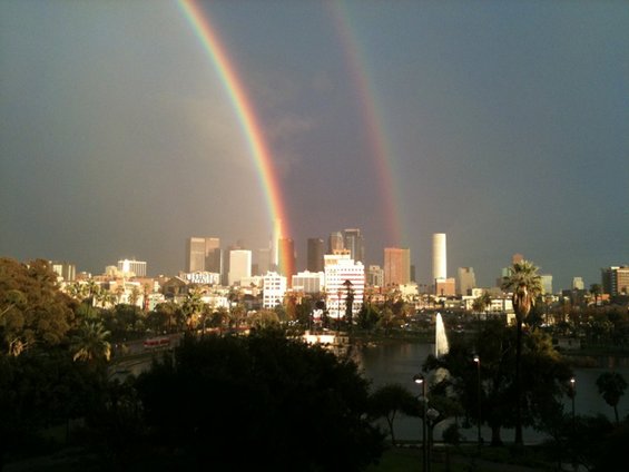 Како изгледа крајот на виножитото