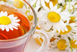 Лековитите својства на камилицата - цела аптека во една билка