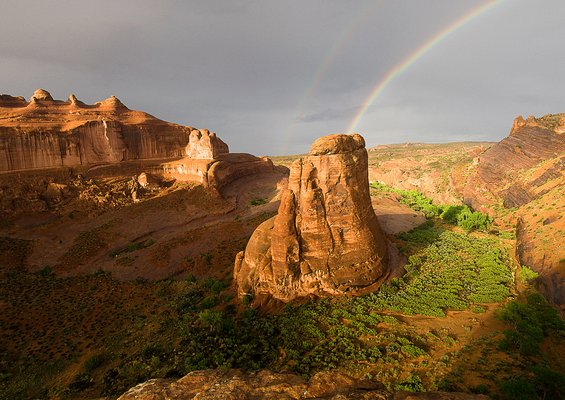Како изгледа крајот на виножитото