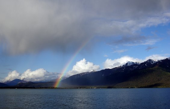 Како изгледа крајот на виножитото