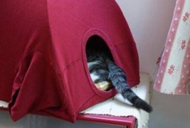 Направете сами удобна куќичка за вашата мачка