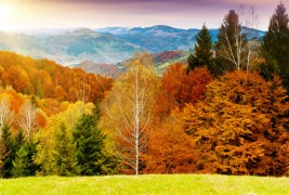 Примамливи есенски фотографии кои ќе те натераат да заборавиш на летната носталгија
