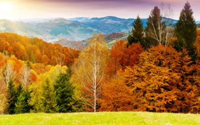 Примамливи есенски фотографии кои ќе те натераат да заборавиш на летната носталгија