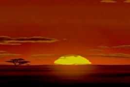 Сцени од Кралот Лав кои можете да ги забележите на вистинско сафари