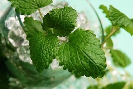 Време е за есенска детоксикација