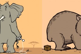 Забавни анимирани гифови со интересни факти за животните