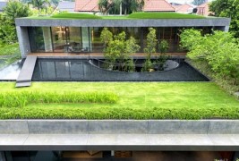 Зелена оаза во срцето на Сингапур