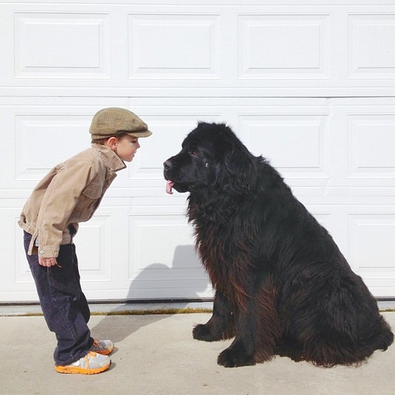 Авантурите на четиригодишниот Џулијан и неговото големо куче Макс