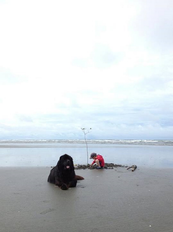 Авантурите на четиригодишниот Џулијан и неговото големо куче Макс