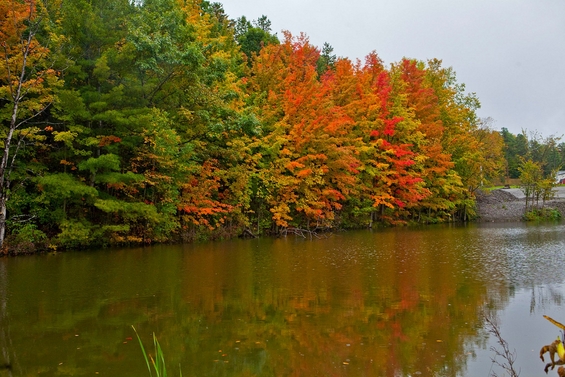 Примамливи есенски фотографии кои ќе те натераат да заборавиш на летната носталгија