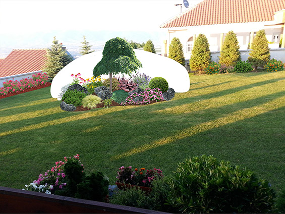 Неверојатна понуда на надворешни декоративни садници од ФОЈА