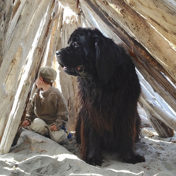 Авантурите на четиригодишниот Џулијан и неговото големо куче Макс