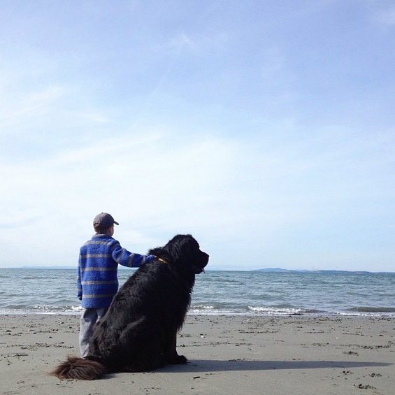 Авантурите на четиригодишниот Џулијан и неговото големо куче Макс