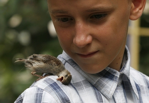Смешни и слатки фотографии од 12-годишно момче со неговото врапче
