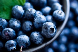 10 моќни својства на боровинките