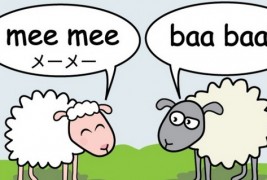 Како зборуваат животните во различни земји?