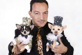 Висока мода за домашни миленици