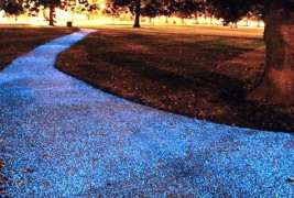 Зачекорете по светкавата ѕвездена патека