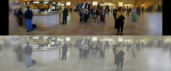 Погледнете го светот преку очи на мачка