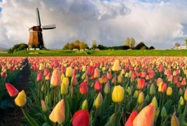 Зошто Холандија има два називи на англиски?