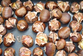 Костени – слатко и здраво есенско задоволство