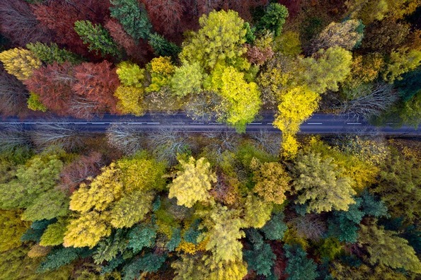 Златна есен во Полска