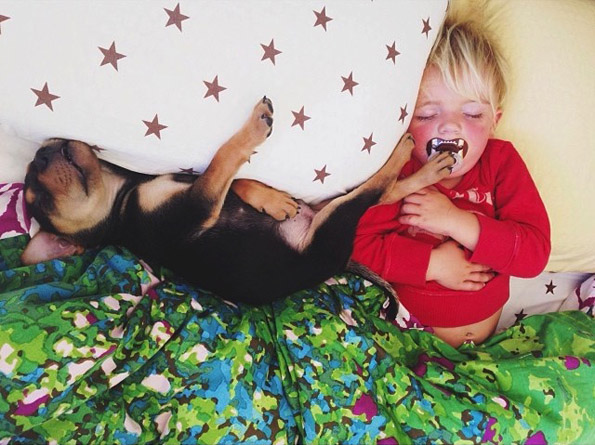 Неодоливи фотографии од 2-годишно дете и мало кутре за време на нивната попладневна дремка