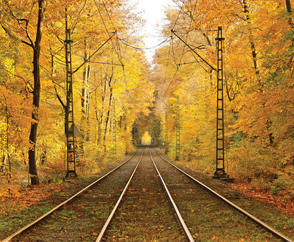 Златна есен во Полска