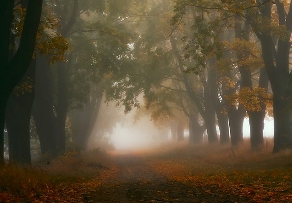 Златна есен во Полска