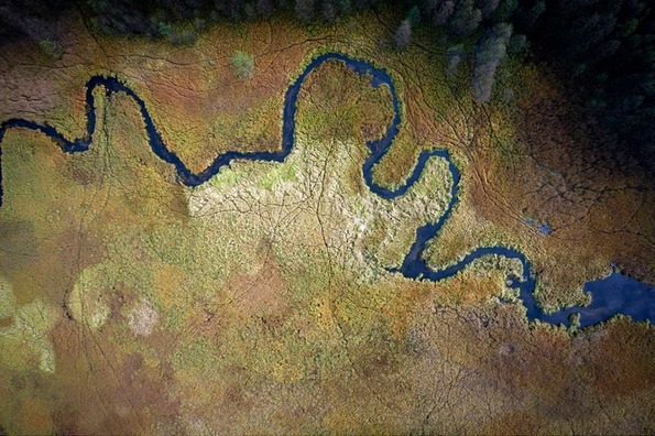 Златна есен во Полска