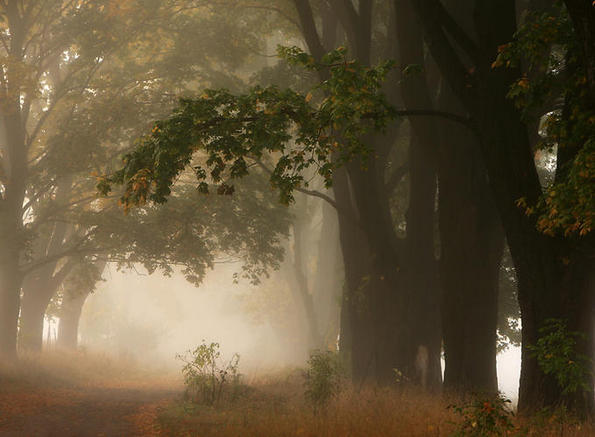 Златна есен во Полска