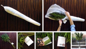 40 брилијантни реклами кои ќе ве насмеат, воодушеват и засрамат