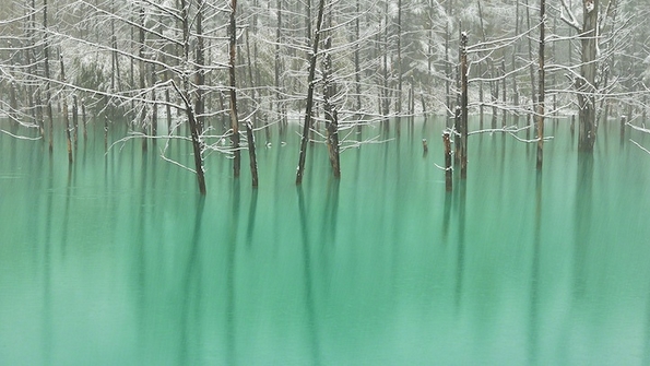 Волшебното Сино Езеро во Јапонија кое станува и зелено