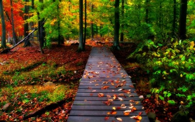 Бои на есента кои го одземаат здивот