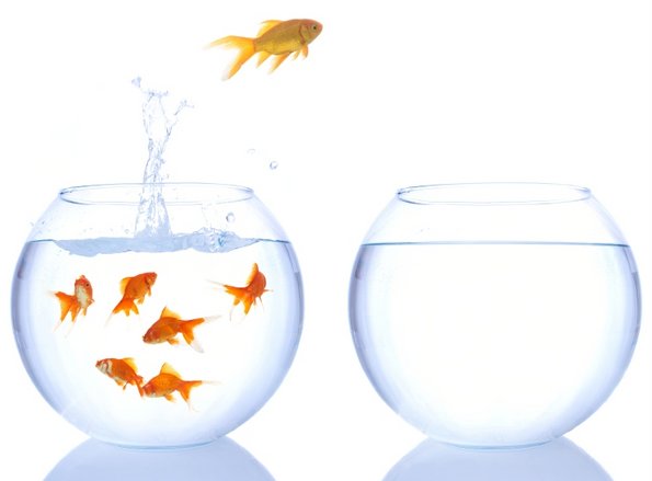 Како да бидете поинтересна личност