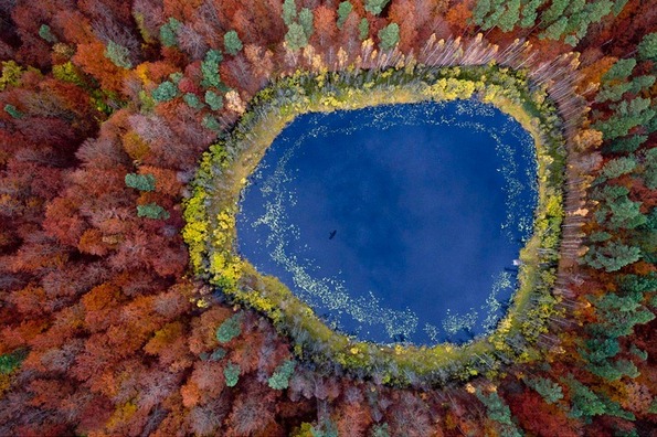Златна есен во Полска