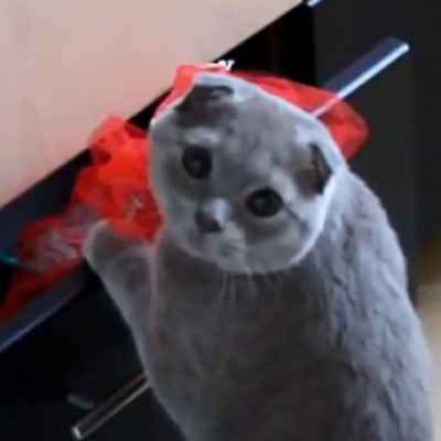 Моментот кога ќе те фатат на дело