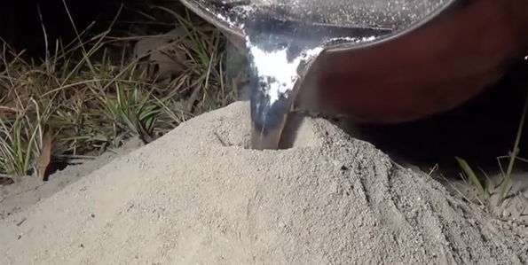 Што ќе се случи доколку истурите течен алуминиум во мравјалник?
