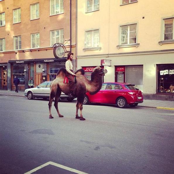 Хипстери над хипстерите