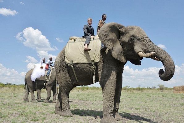 Прекрасна африканска свадба со слонови како од бајка 