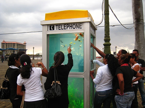 Говорница претворена во јавен аквариуми