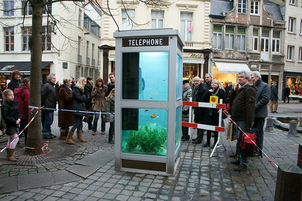 Говорница претворена во јавен аквариуми